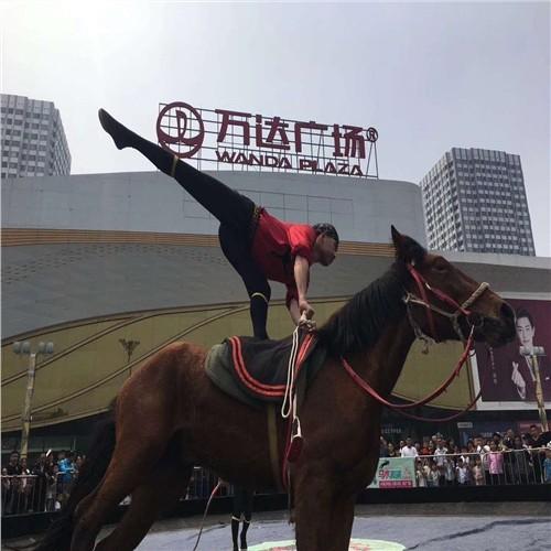 宜賓市哪里有馬戲團(tuán)表演出租一天多少錢 - 眾鑫動(dòng)物表演租賃