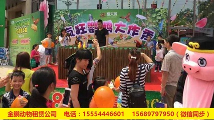 哪有呆萌馬戲團(tuán)表演出租赤壁市_山東金鵬動物租賃 - 商國互聯(lián)網(wǎng)