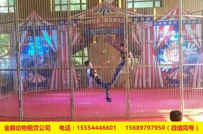 專(zhuān)業(yè)馬戲團(tuán)表演團(tuán)體出租租賃鶴壁_養(yǎng)殖/種植欄目_