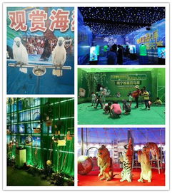 山東省淄博市淄川區(qū)百鳥(niǎo)展租賃多少錢一天