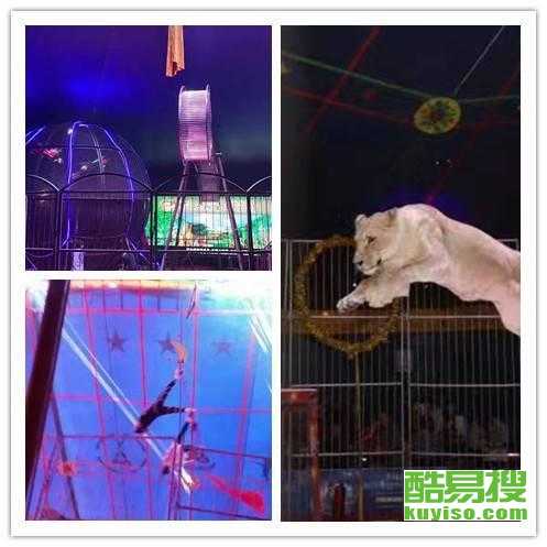 天津酷易搜